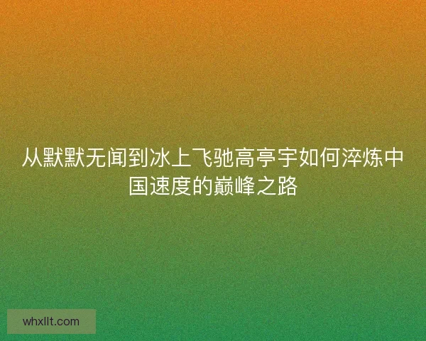 从默默无闻到冰上飞驰高亭宇如何淬炼中国速度的巅峰之路